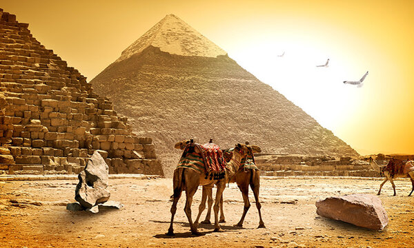 Египет отдых